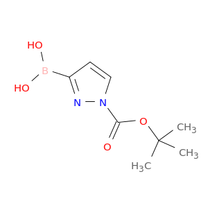 1-(叔丁氧基羰基)-1H-吡唑-3-基-硼酸