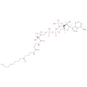 辅酶A,S-NONOATE
