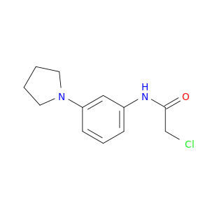 2-氯-N-[3-(1-吡咯烷基)苯基]乙酰胺