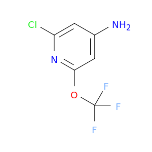 2-氯-6-(三氟甲氧基)-4-吡啶胺
