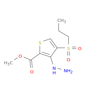 甲基3-肼-4-(丙基磺酰基)-2-噻吩羧酸盐