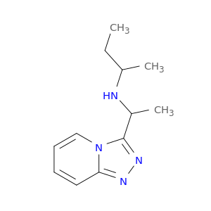(Butan-2-yl)(1-{[1,2,4]triazolo[4,3-a]pyridin-3-yl}ethyl)amine