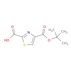 2,4-噻唑二羧酸 4-叔丁酯