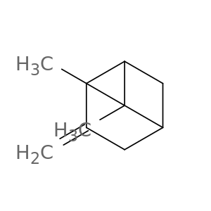 Bicyclo[3.1.1]heptane, 6,6-dimethyl-3-methylene-