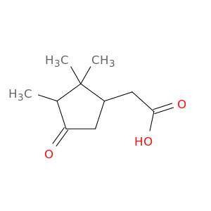 Cyclopentaneaceticacid, 2,2,3-trimethyl-4-oxo- (8CI,9CI)