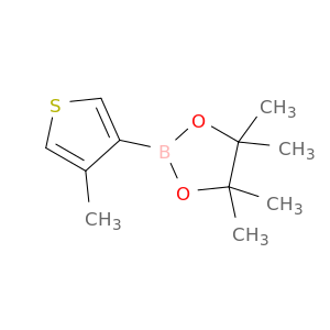 4-甲基噻吩-3-硼酸频哪酯