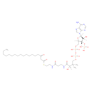辅酶A,S-(3-oxooctadecanoate)