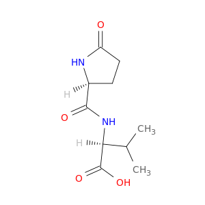 5-氧代-L-脯氨酰-1-缬氨酸