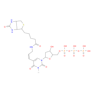 [[[5-[2,4-dioxo-5-[(E)-3-[5-(7-oxo-3-thia-6,8-diazabicyclo[3.3.0]oct-2-yl)pentanoylamino]prop-1-enyl]pyrimidin-1-yl]-3-hydroxy-oxolan-2-yl]methoxy-hydroxy-phosphoryl]oxy-hydroxy-phosphoryl]oxyphosphonic acid
