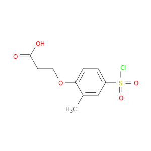 3-[4-(氯磺酰基)-2-甲基苯氧基]丙酸