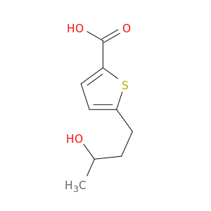 2-Thiophenecarboxylic acid, 5-(3-hydroxybutyl)-