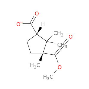 1,3-Cyclopentanedicarboxylicacid, 1,2,2-trimethyl-, 1-methyl ester, cis- (9CI)
