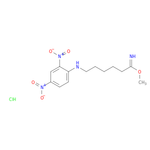 N-[5-(methoxycarbonimidoyl)pentyl]-2,4-dinitro-aniline hydrochloride
