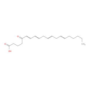 5-oxo-6,8,11,14-eicosatetraeno酸