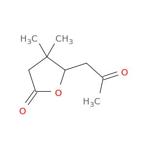 2(3H)-Furanone, dihydro-4,4-dimethyl-5-(2-oxopropyl)-