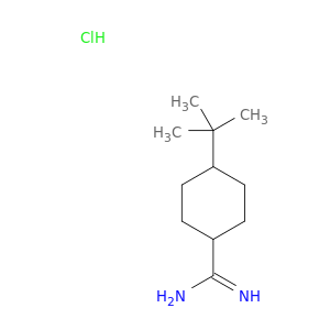 4-tert-butylcyclohexane-1-carboximidamide hydrochloride
