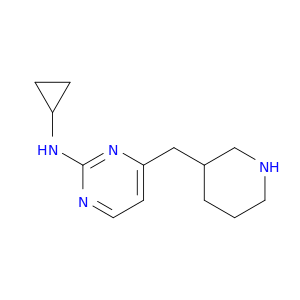 N-环丙基-4-(3-哌啶甲基)-2-嘧啶胺