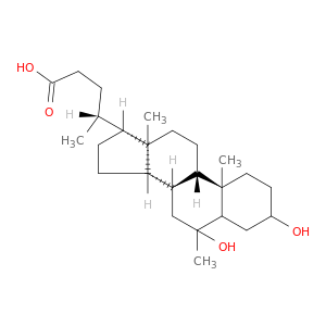 Cholan-24-oic acid,3,6-dihydroxy-6-methyl-, (3a,5b,6a)- (9CI)