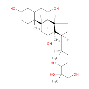 Cholestane-3,7,12,24,25,26-hexol,(3a,5b,7a,12a,24S)- (9CI)