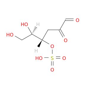 (2R,3S)-1,2-dihydroxy-5,6-dioxo-3-sulfooxy-hexane