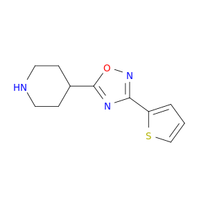5-(哌啶-4-基)-3-(噻吩-2-基)-1,2,4-恶二唑