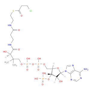 3-CHLOROPROPIONYL-COENZYME A