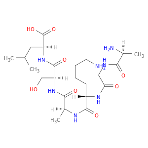 L-Leucine, L-alanylglycyl-L-lysyl-L-alanyl-L-seryl-