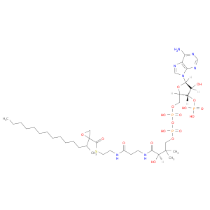 辅酶A,S-(2-四淀粉氧基羰基羧酸盐),(r)-