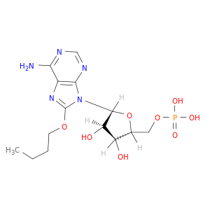 5'-Adenylic acid, 8-butoxy-