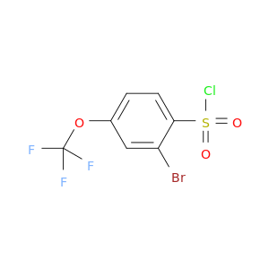 2-溴-4-(三氟甲氧基)苯磺酰氯