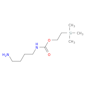 Carbamic acid, (4-aminobutyl)-, 2-(trimethylsilyl)ethyl ester