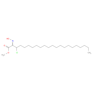 Docosanoic acid, 3-chloro-2-(hydroxyimino)-, methyl ester