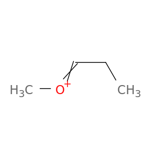 Oxonium, methylpropylidene-
