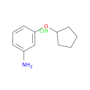3-(环戊基氧基)苯胺盐酸盐