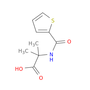 2-METHYL-N-(2-THIENYLCARBONYL)ALANINE
