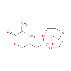 甲基丙烯酰氧丙基杂氮硅三环