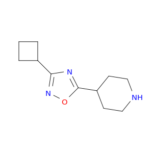 4-(3-环丁基-1,2,4-噁二唑-5-基)哌啶