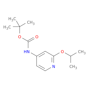 tert-Butyl N-[2-(propan-2-yloxy)pyridin-4-yl]carbamate