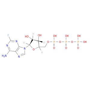 Adenosine5'-(tetrahydrogen triphosphate), 2-fluoro-