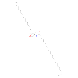 C22 Dihydroceramide