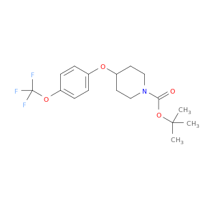 1-Piperidinecarboxylicacid, 4-[4-(trifluoromethoxy)phenoxy]-,1,1-dimethylethyl ester