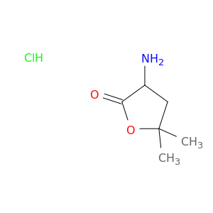 3-amino-5,5-dimethyloxolan-2-one hydrochloride