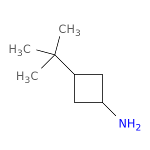 3-tert-butylcyclobutan-1-amine