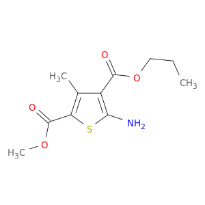 4-丙基-5-氨基-3-甲基噻吩-2,4-二羧酸-2-甲酯