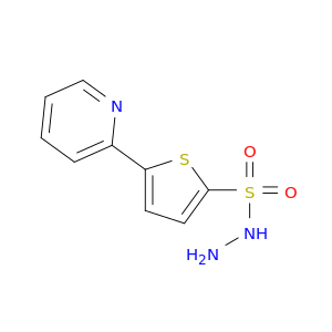 2-Thiophenesulfonicacid, 5-(2-pyridinyl)-, hydrazide