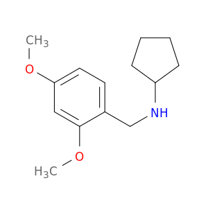 N-(2,4-DIMETHOXYBENZYL)CYCLOPENTANAMINE