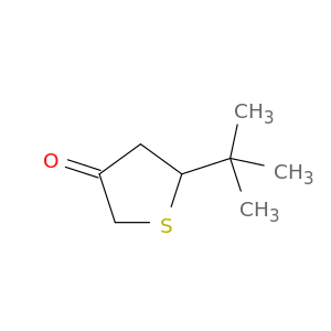 5-tert-butylthiolan-3-one