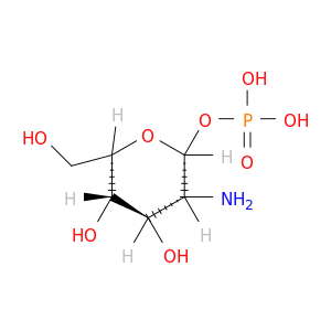 α-D-葡糖胺1-磷酸盐