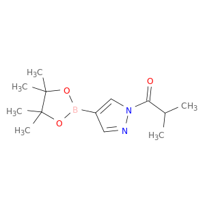 1-异丁酰基吡唑-4-硼酸频那醇酯