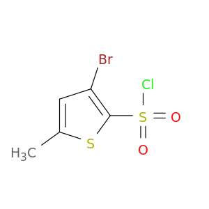 3-溴-5-甲基噻吩-2-磺酰氯